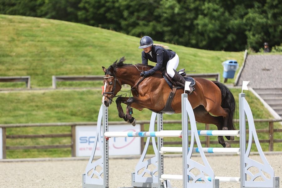 hest / norges rytterforbund