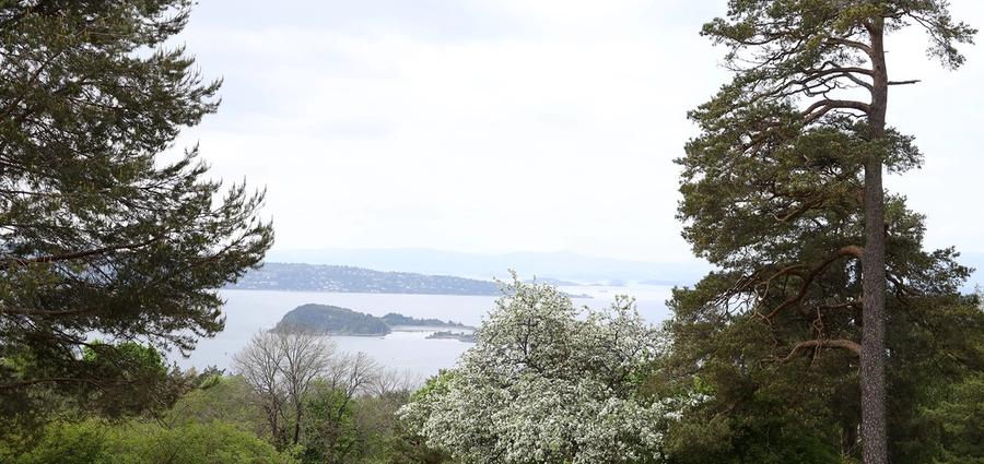 En bedre utsikt å hvile blikket på mellom klassene enn Utsikten på Ekebergsletta finnes vel knapt? (Foto: Ingvild Nygaard Svendsen)