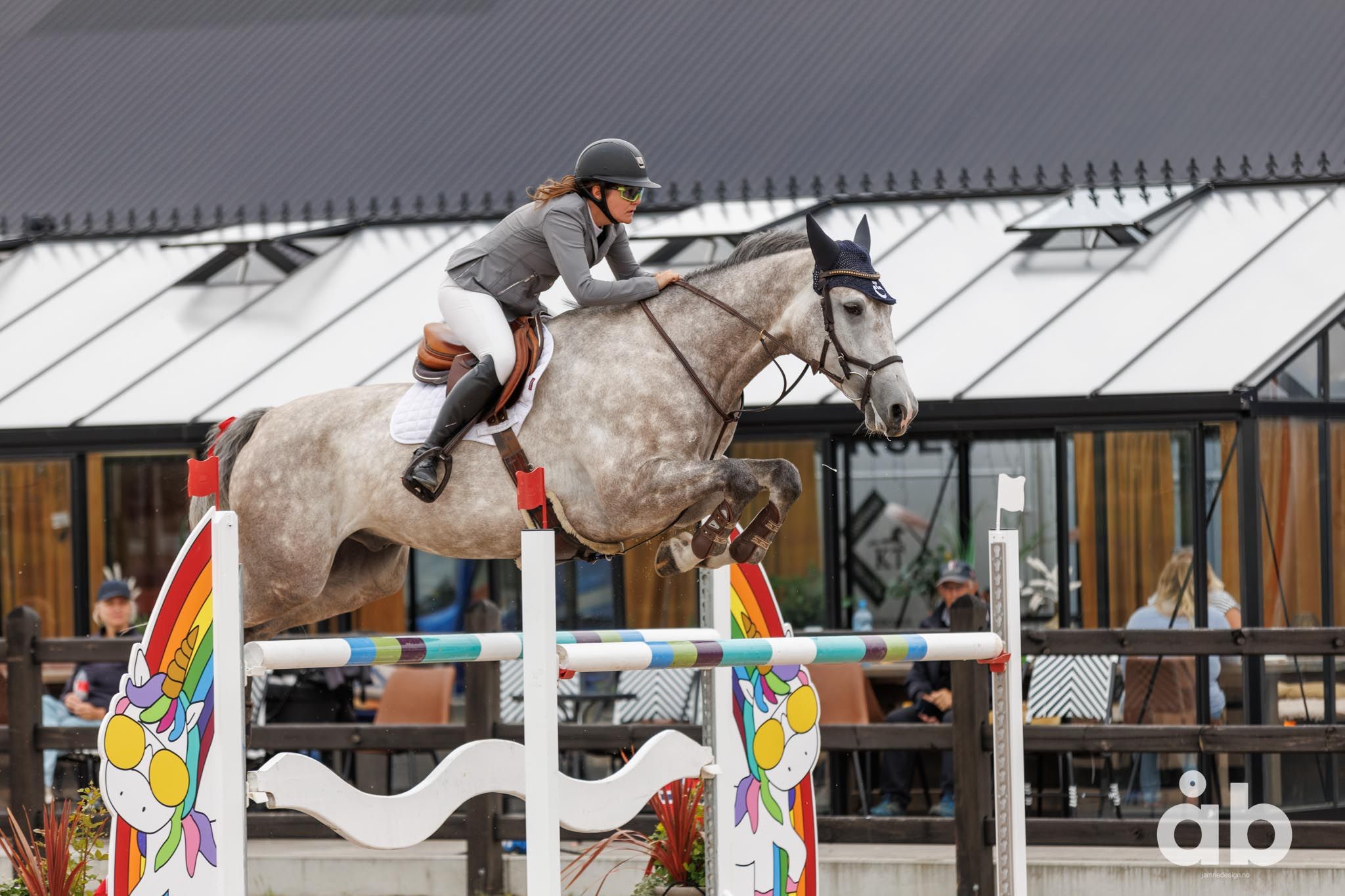 Rigals Solaris Blue (Chacoon Blue x Lord Caletto, oppdretter Gunn Inger Risdal) med rytter Kaia Risdal Lorentzen. Rigals Solaris Blue vant BO som 4-åring, NBT som 5- og 6-åring og tradisjonen tro var han beste norske nok en gang med en 4. plass i Breeders Open i år. Imponerende! (Foto: Åse-Berit Jamne)