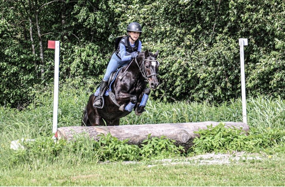 hest / Norges Rytterforbund / Feltritt / Feltrittsderby