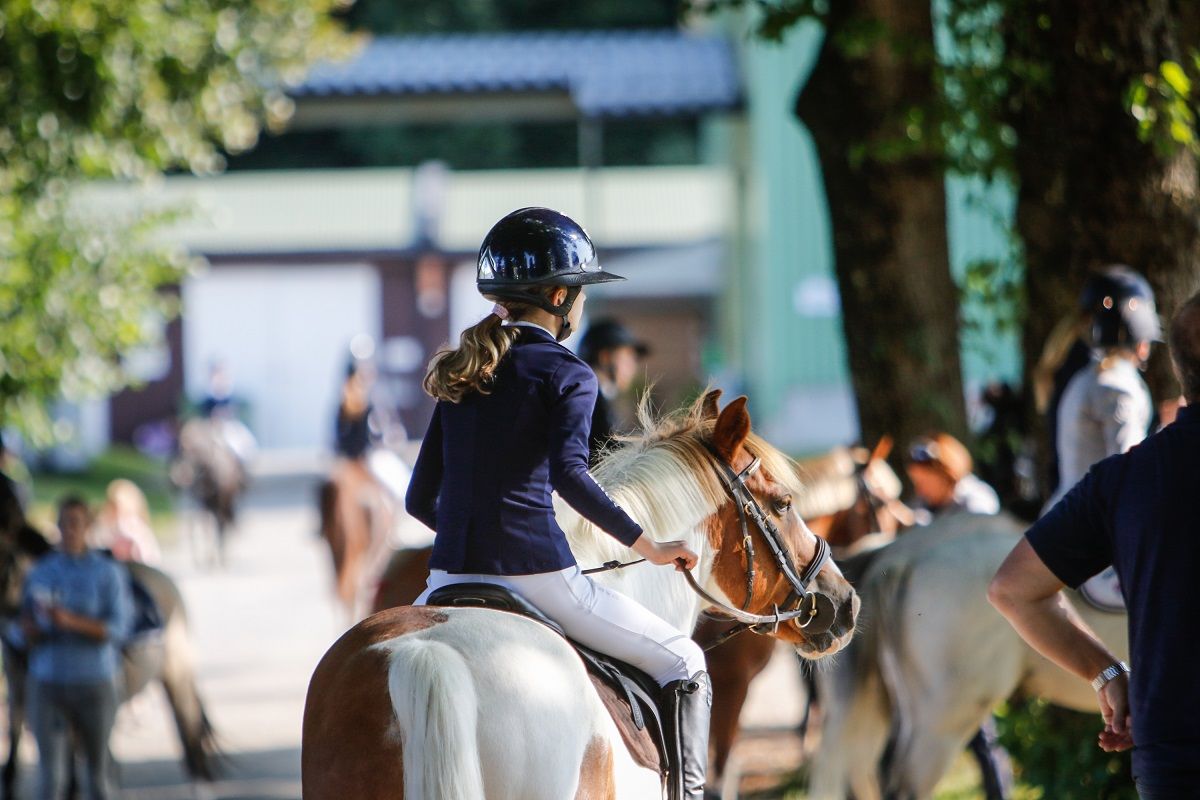 hest / Norges Rytterforbund