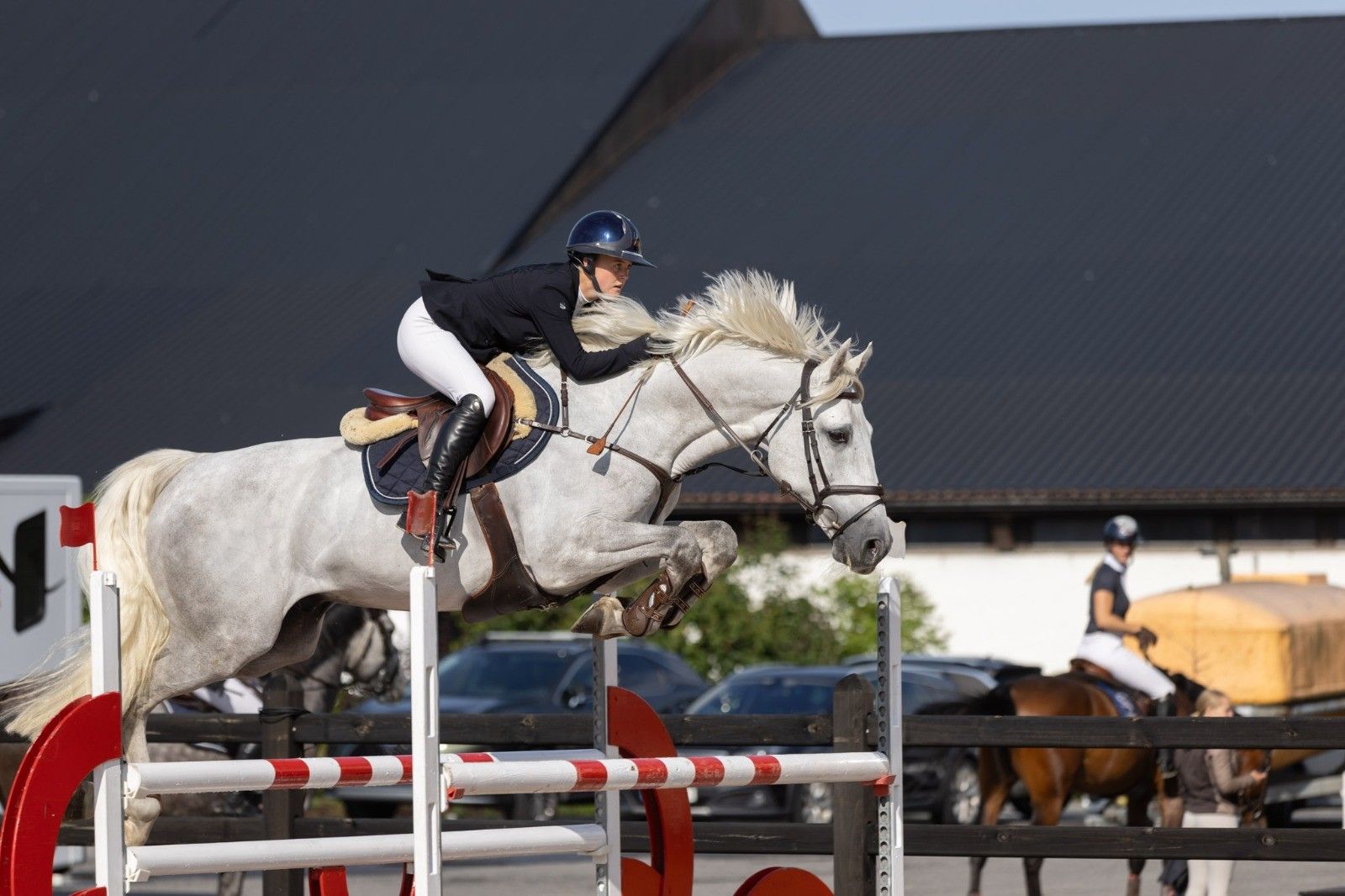 hest / Norges Rytterforbund