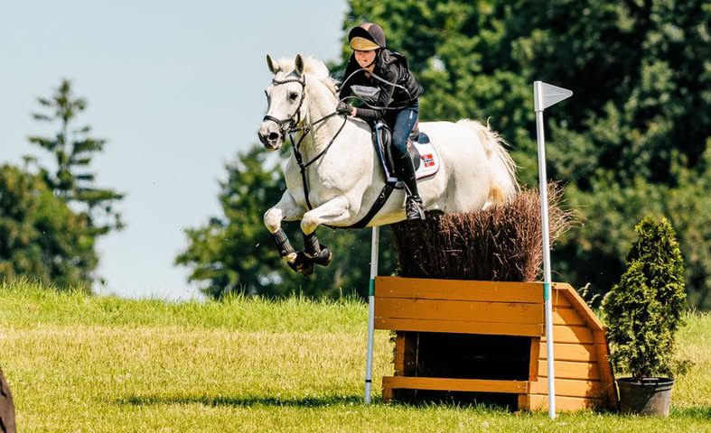 hest / Norges Rytterforbund / Selma Hallerud Lindell