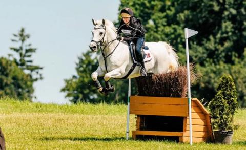 hest / Norges Rytterforbund / Selma Hallerud Lindell