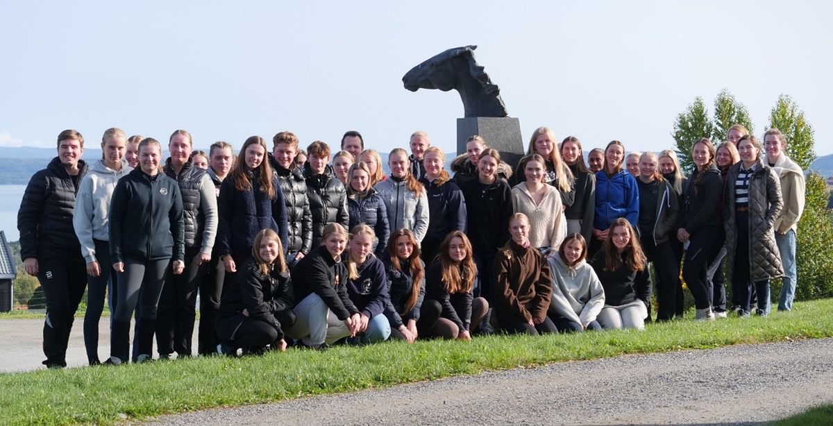 hest / Norges Rytterforbund