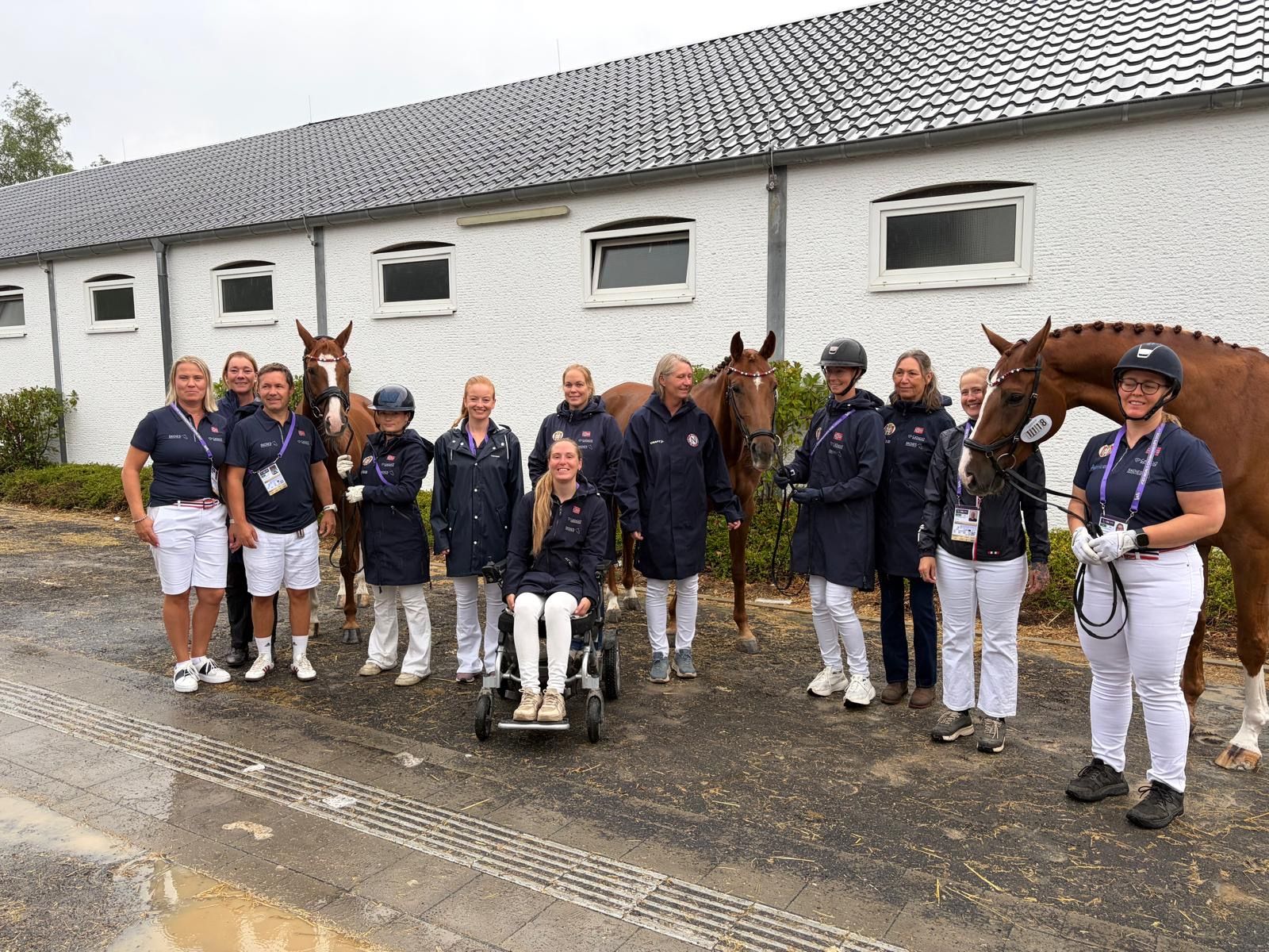 hest / Norges Rytterforbund / Paradressur