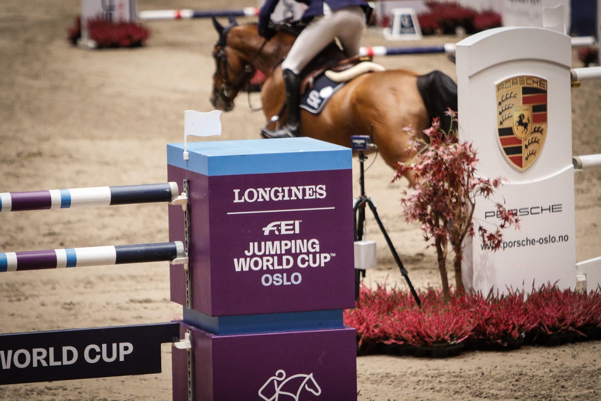 hest / Norges Rytterforbund / World Cup