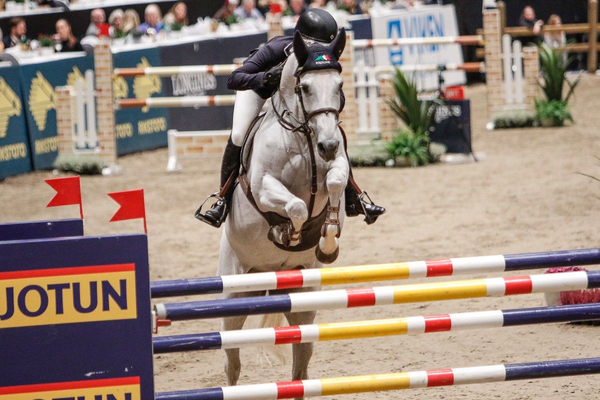 hest / Norges Rytterforbund / Therese Søhol Henriksen