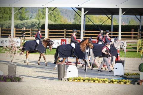 hest / Norges Rytterforbund