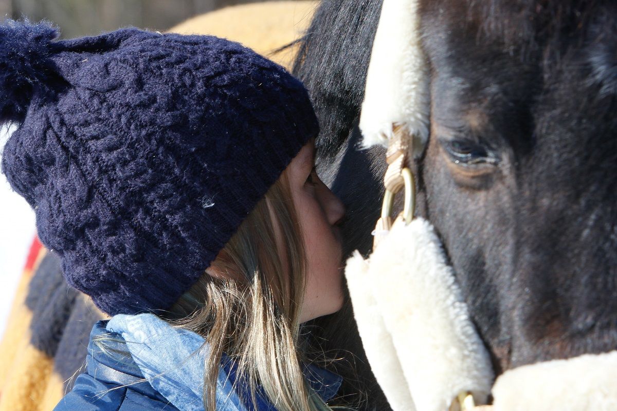 hest ponni rytter ridning rideskole