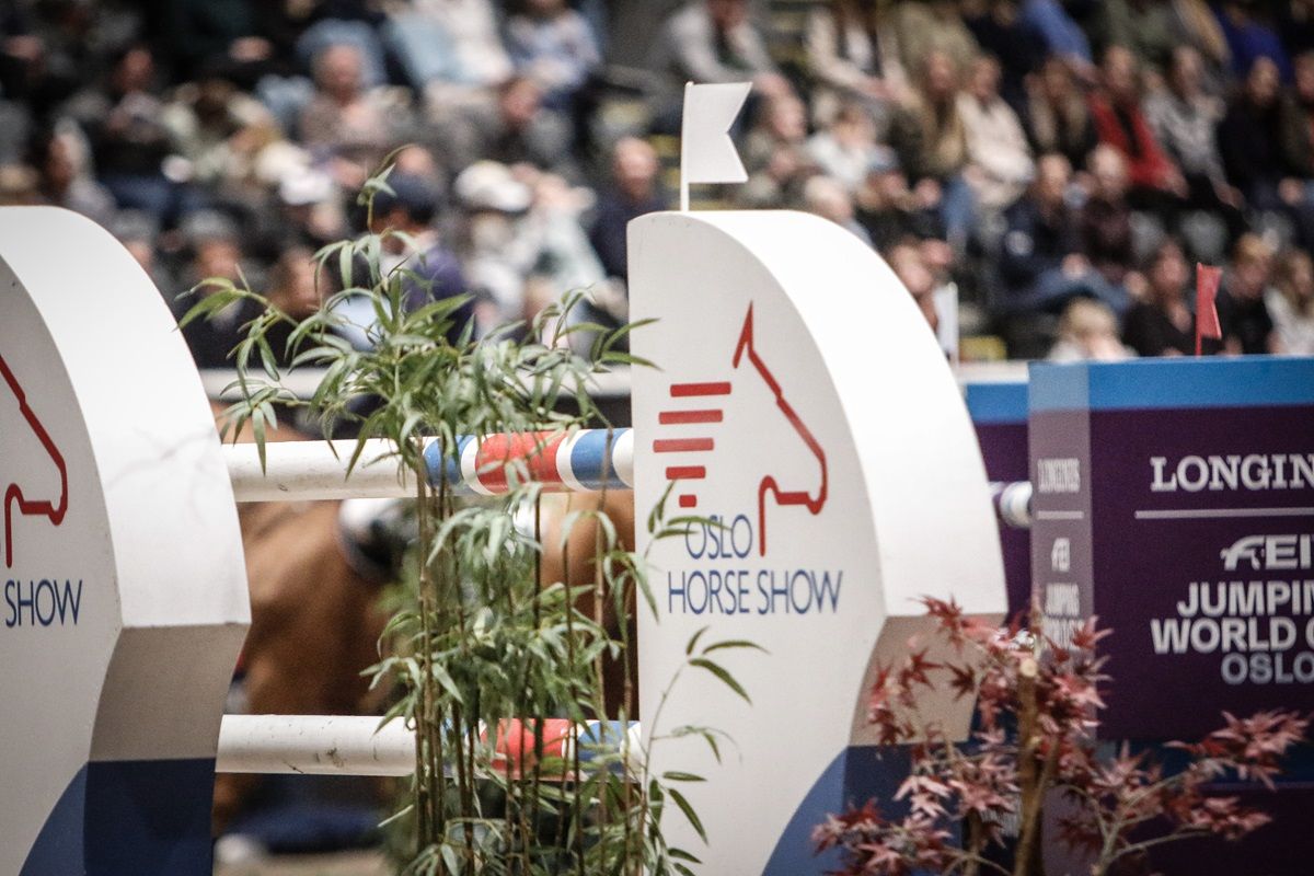 hest / Norges rytterforbund