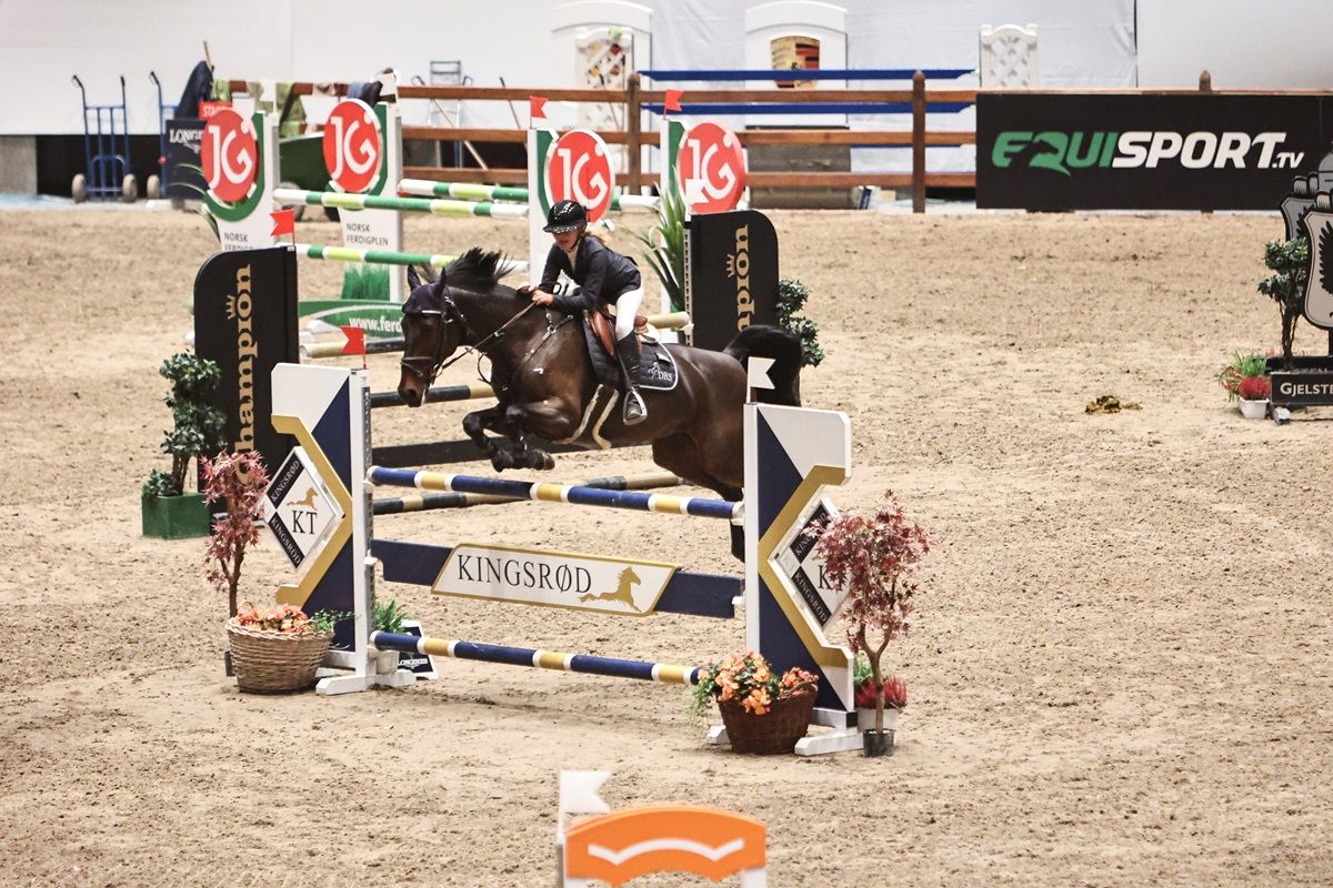 hest / Norges Rytterforbund