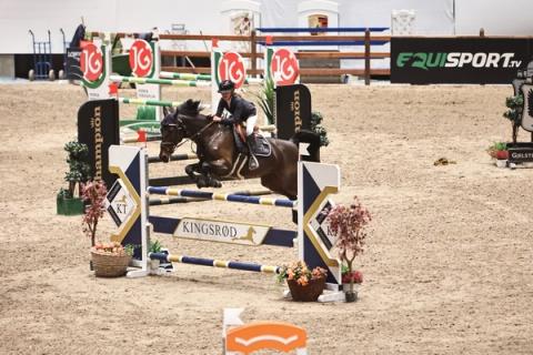 hest / Norges Rytterforbund