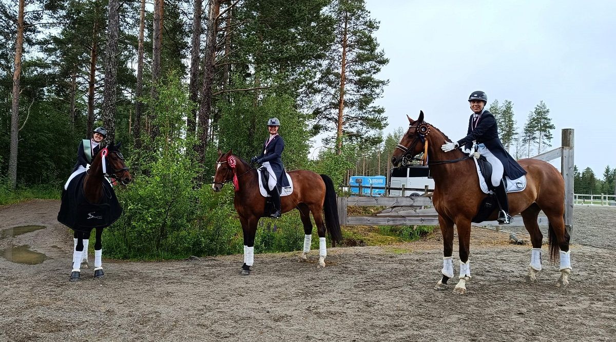 hest / Norges Rytterforbund