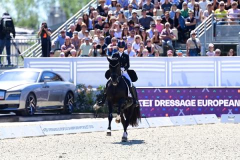 hest / Norges Rytterforbund