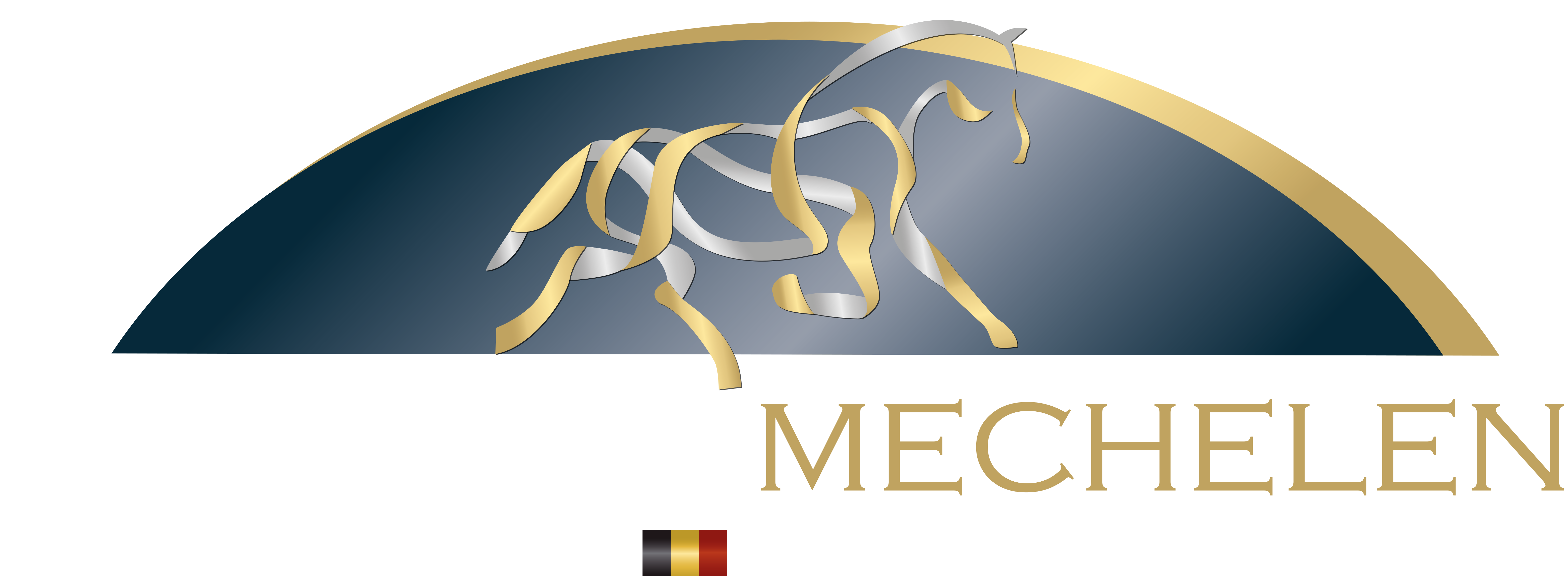 Jumping Mechelen 2023/ internasjonal sprang og dressur/ Norges Rytterforbund