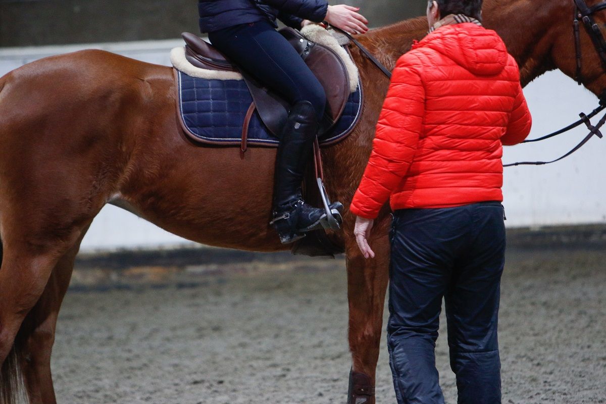 hest / trener / trening / Norges Rytterforbund