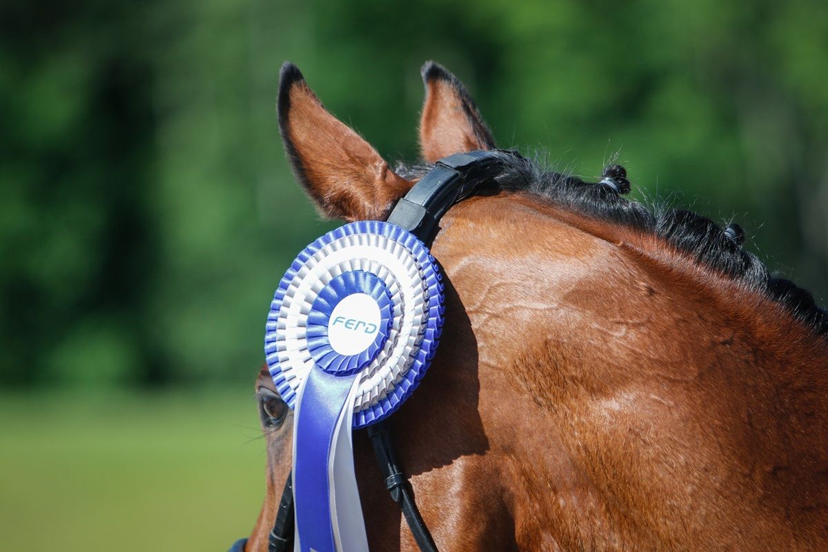 hest / Norges Rytterforbund / FERD Comeback Cup