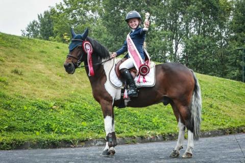 hest / Norges Rytterforbund