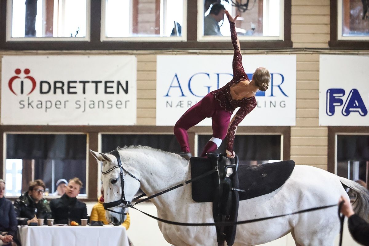 hest / Norges Rytterforbund / voltige