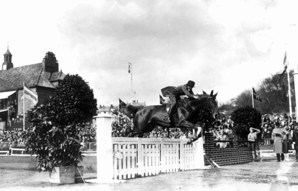 hest / Norges Rytterforbund /