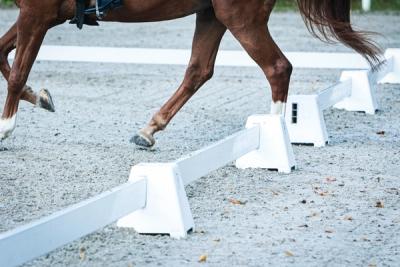 hest / Norges Rytterforbund 