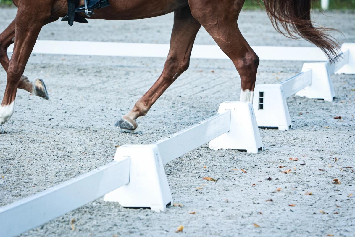 hest / Norges Rytterforbund / spillemidler / utstyr