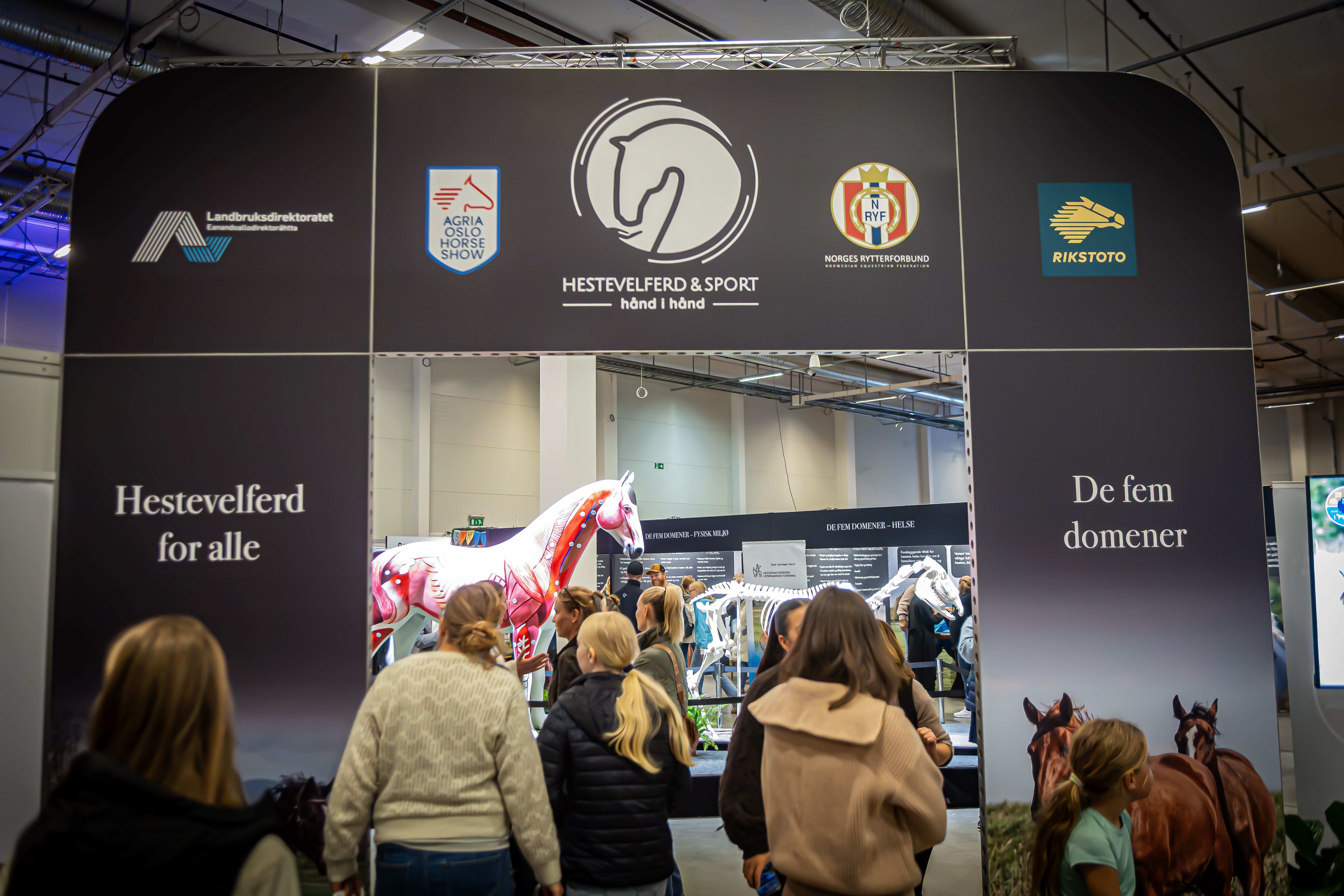 hest / Norges Rytterforbund / Hestevelferd for alle