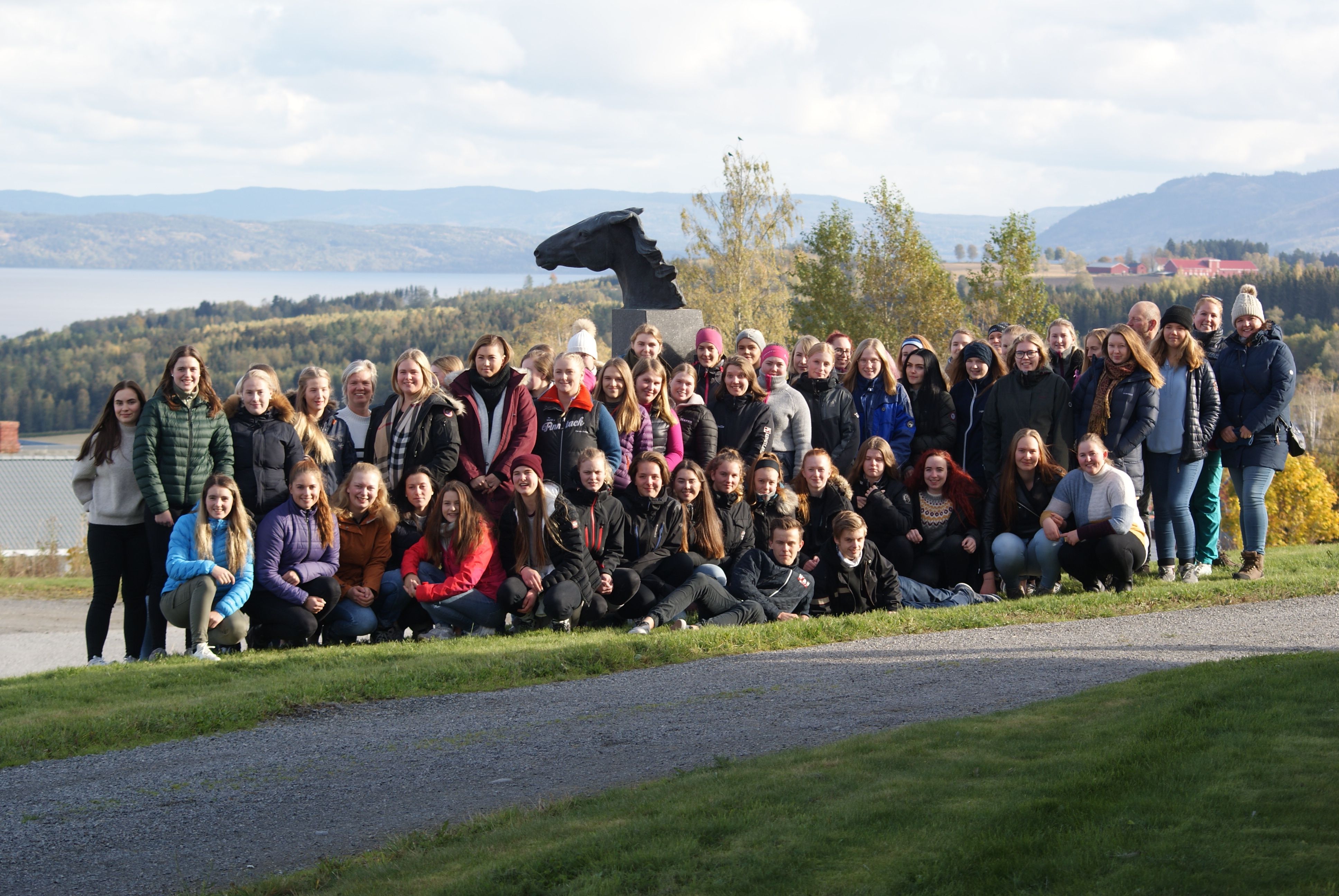 hest / Norges Rytterforbund / Sammen om hesten