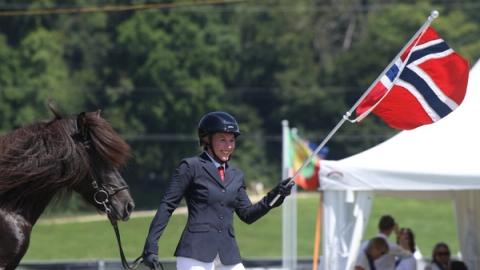 hest / Norges Rytterforbund