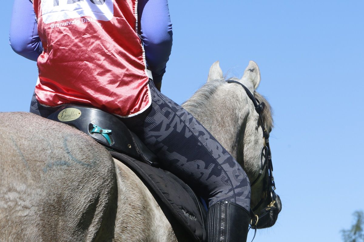 hest / Norges Rytterforbund