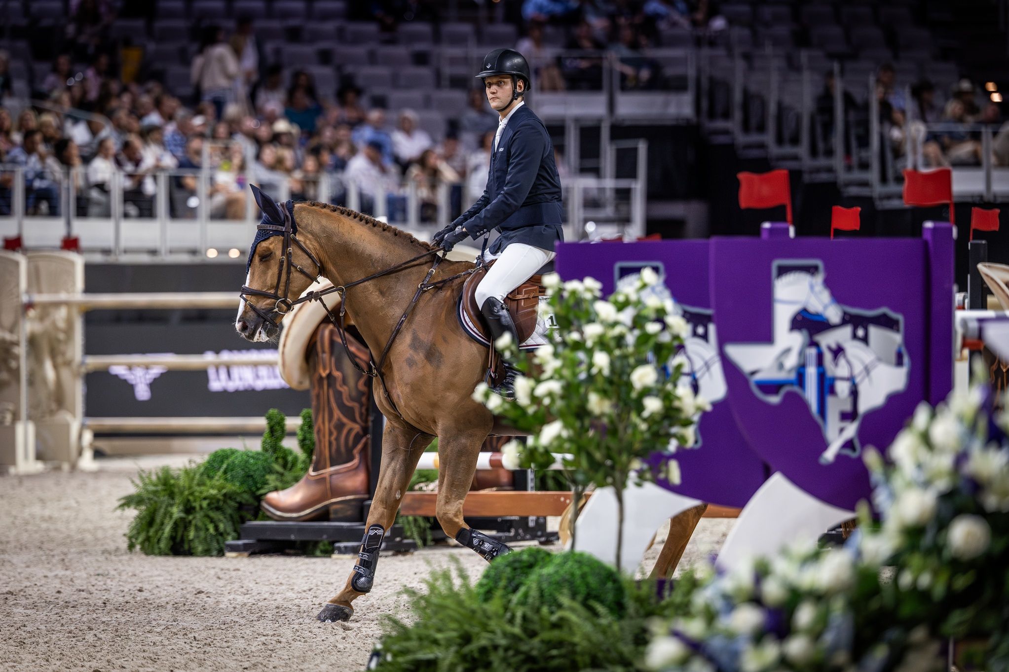 hest / Norges Rytterforbund / Johan-Sebastian Gulliksen