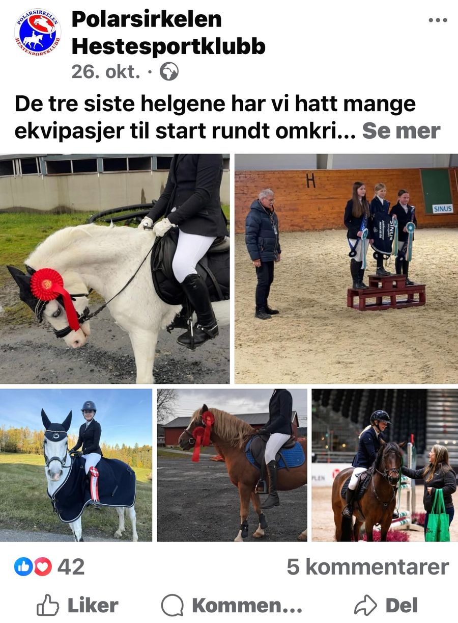 hest / Norges Rytterforbund / Polarsirkelen Hestesportklubb