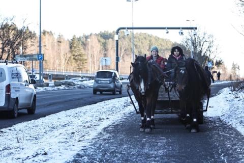 hest / Norges Rytterforbund 
