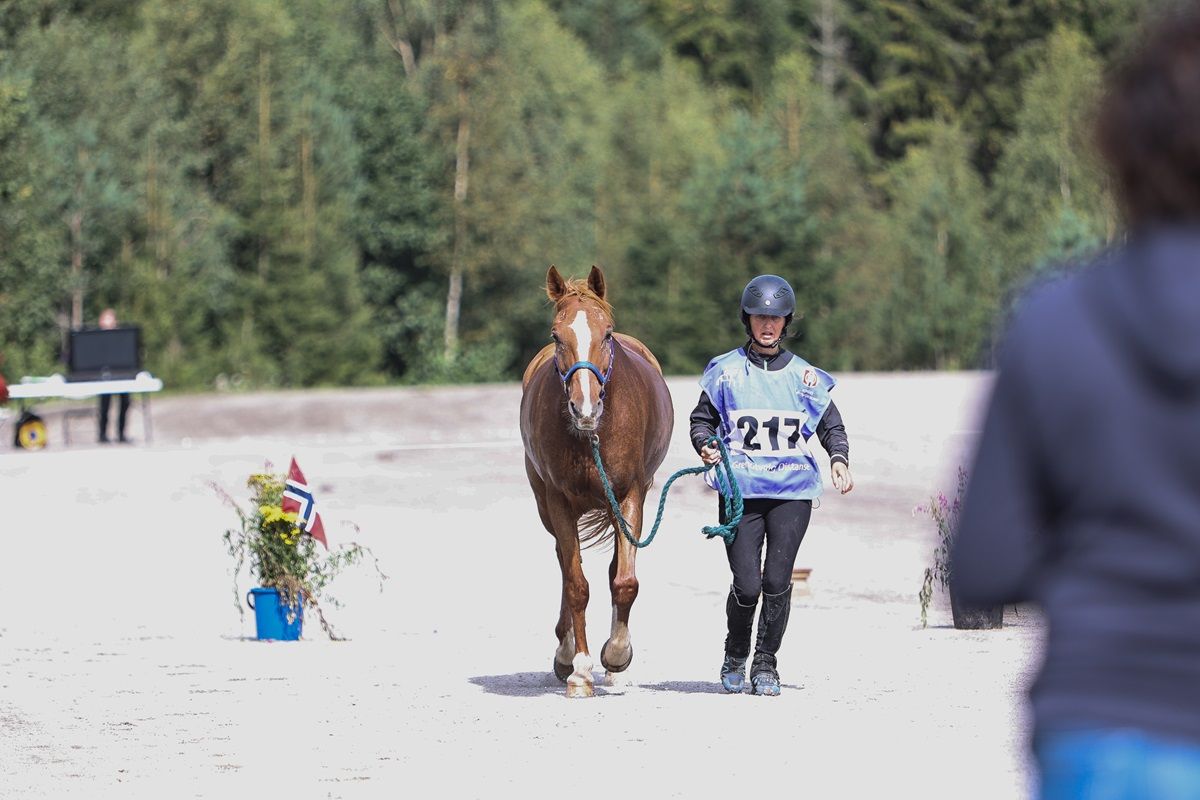 hest / Norges Rytterforbund / distanse / Lene Hammeren
