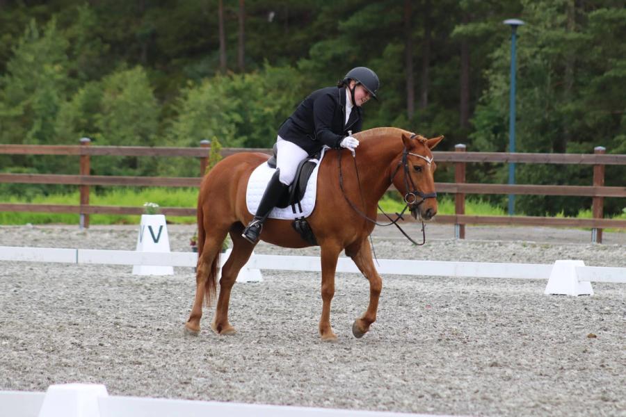 hest / Norges Rytterforbund