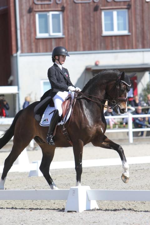 hest / Norges Rytterforbund