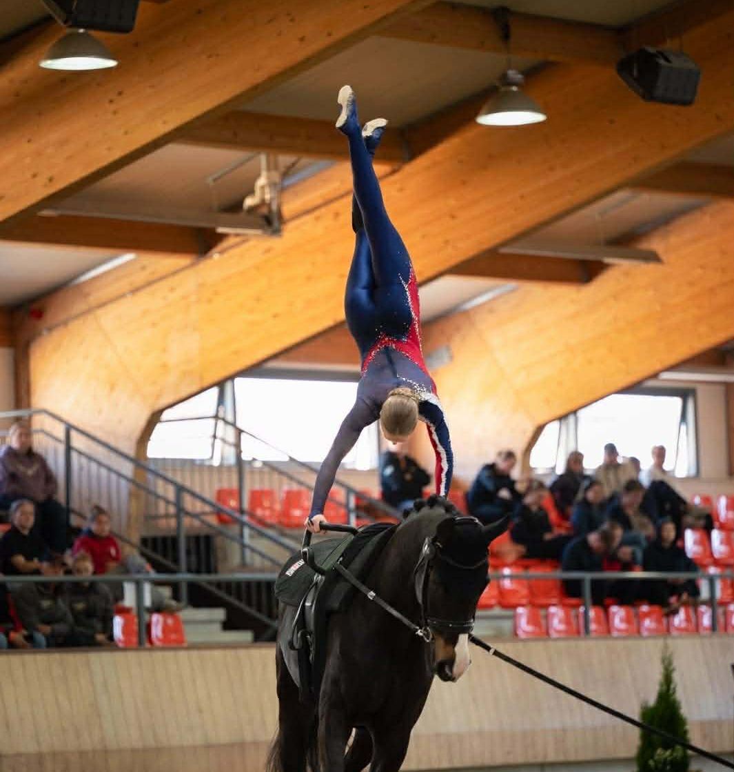 hest / Norges Rytterforbund / voltige