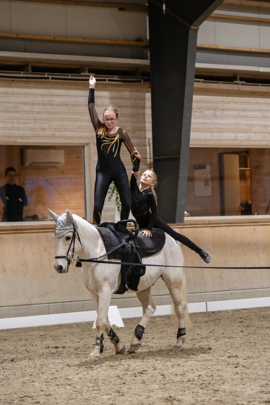 hest / Norges Rytterforbund / Vestlandets Dressurfestial / voltige