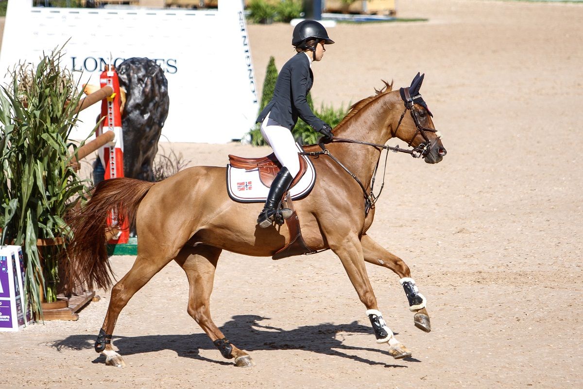 hest / Norges Rytterforbund / Victoria Gulliksen