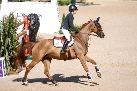 hest / Norges Rytterforbund / Victoria Gulliksen