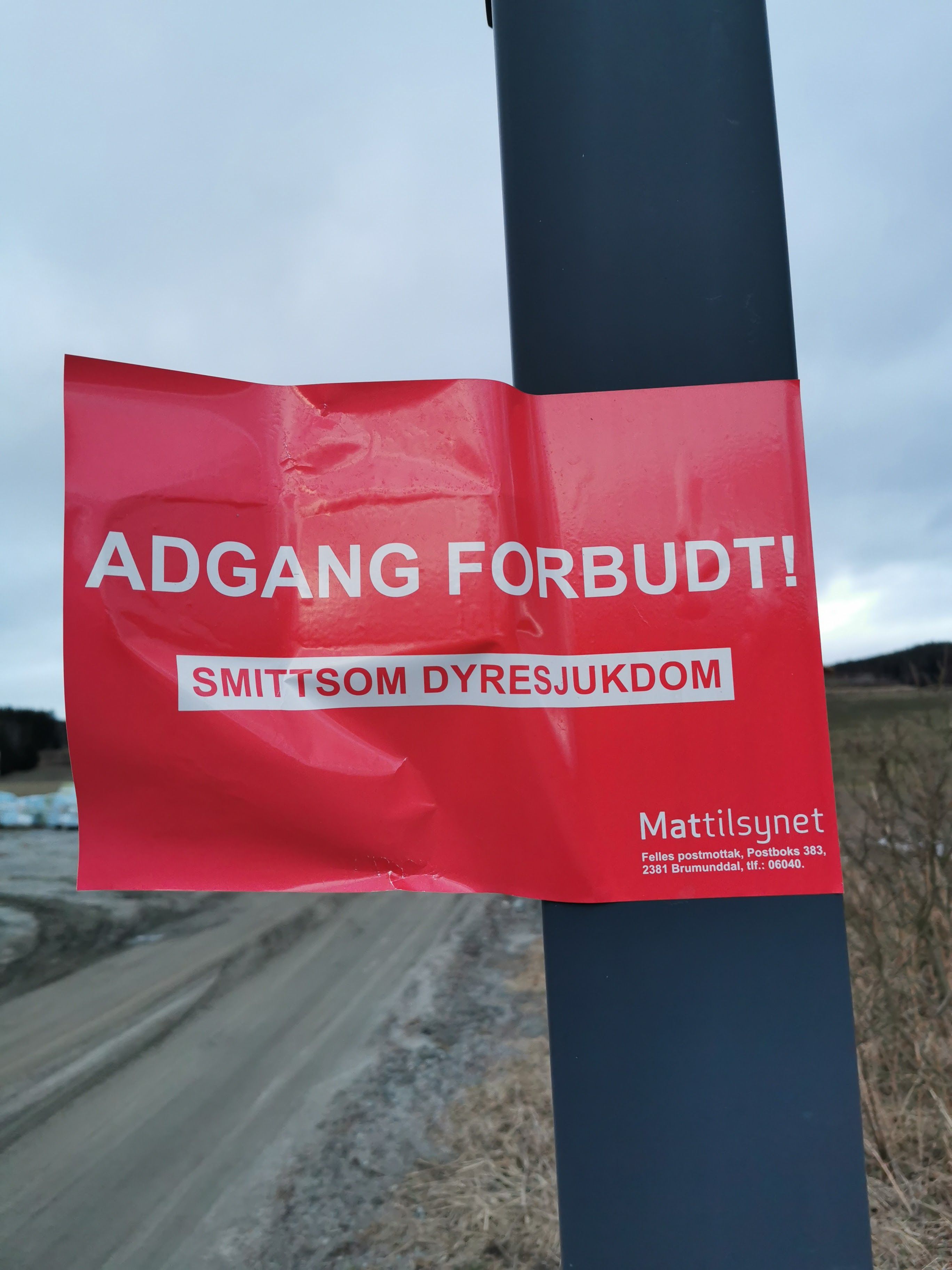 hest / Norges Rytterforbund