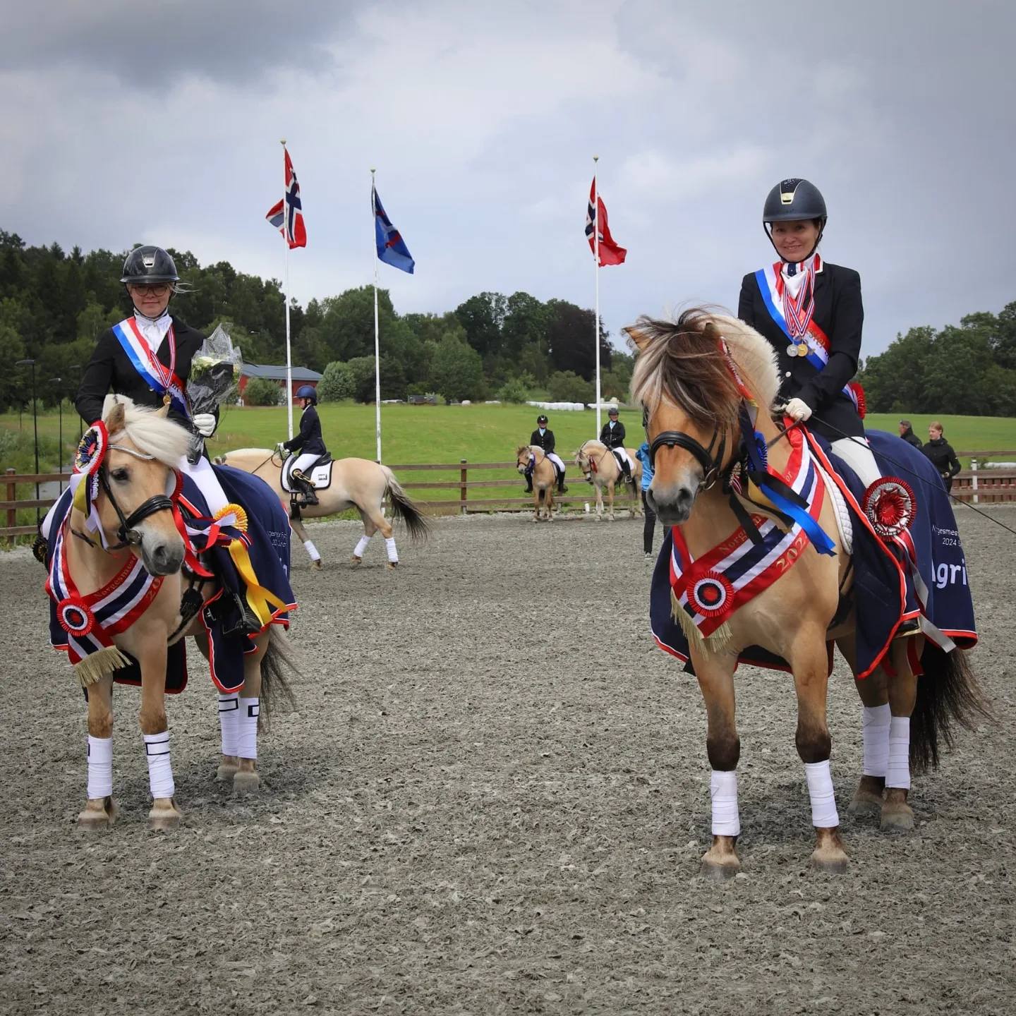 hest / Norges Rytterforbund