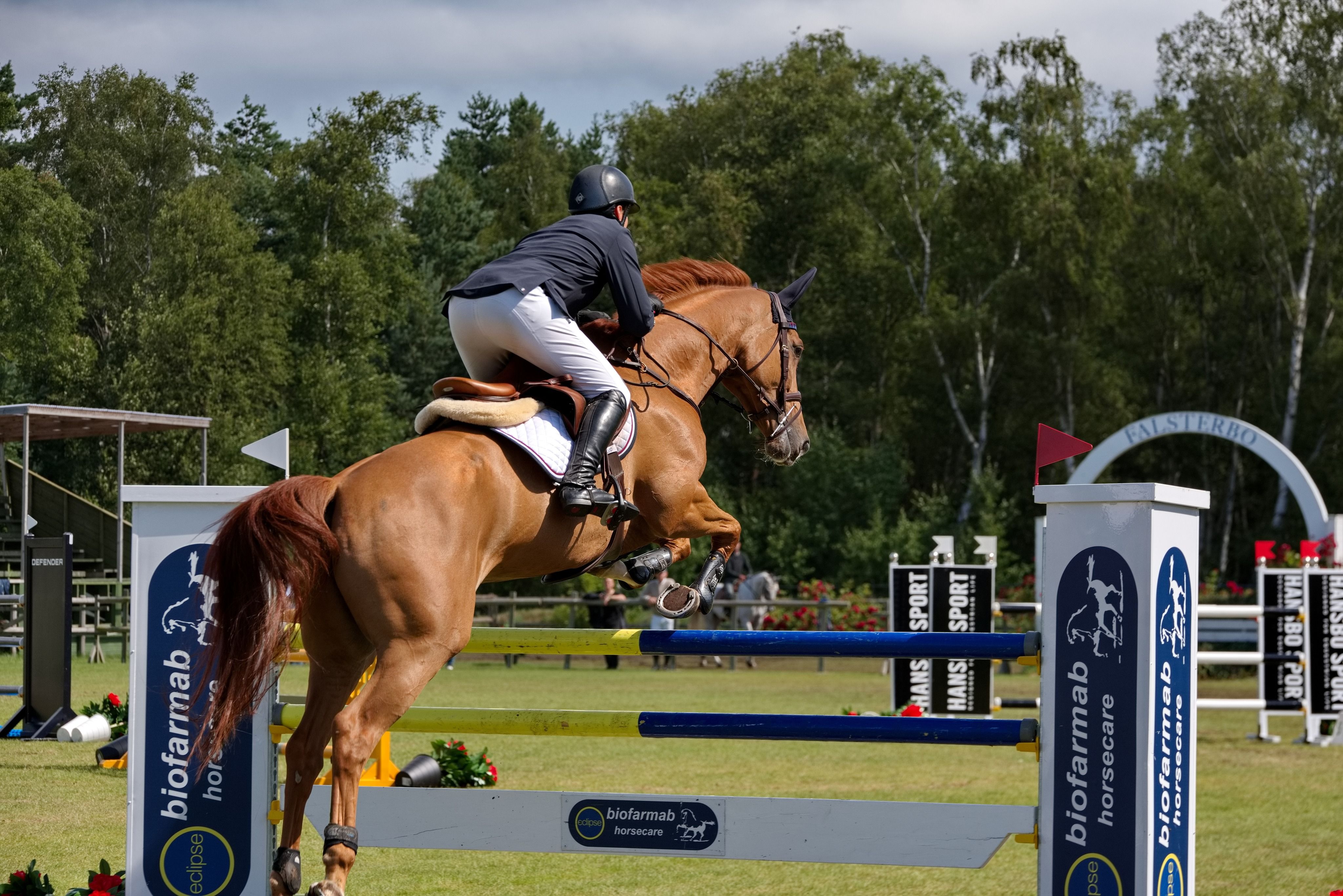 Johan Gulliksen/ Lolita/ internasjonal sprang/ NRYF