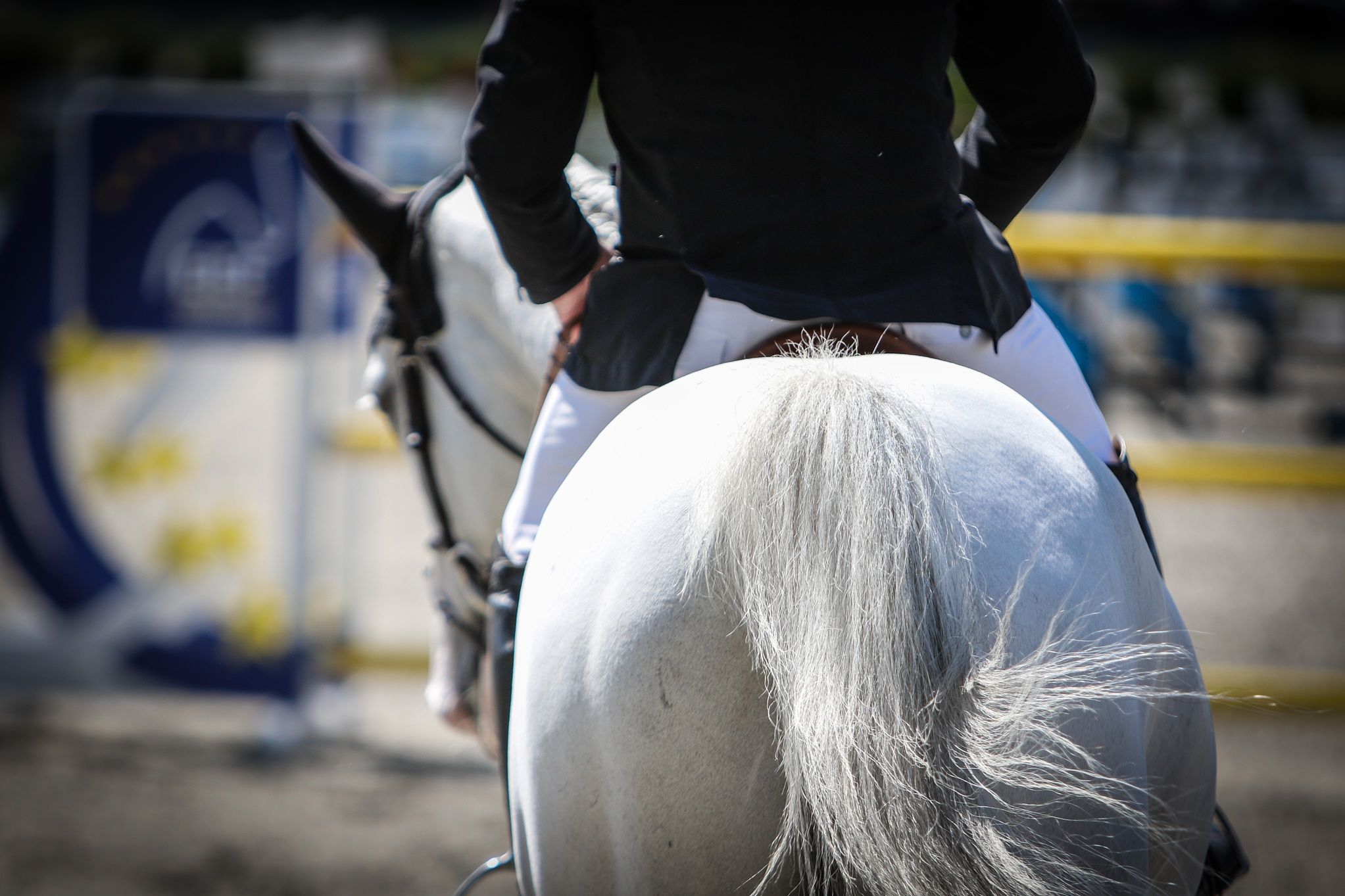 hest / Norges Rytterforbund / Equipass