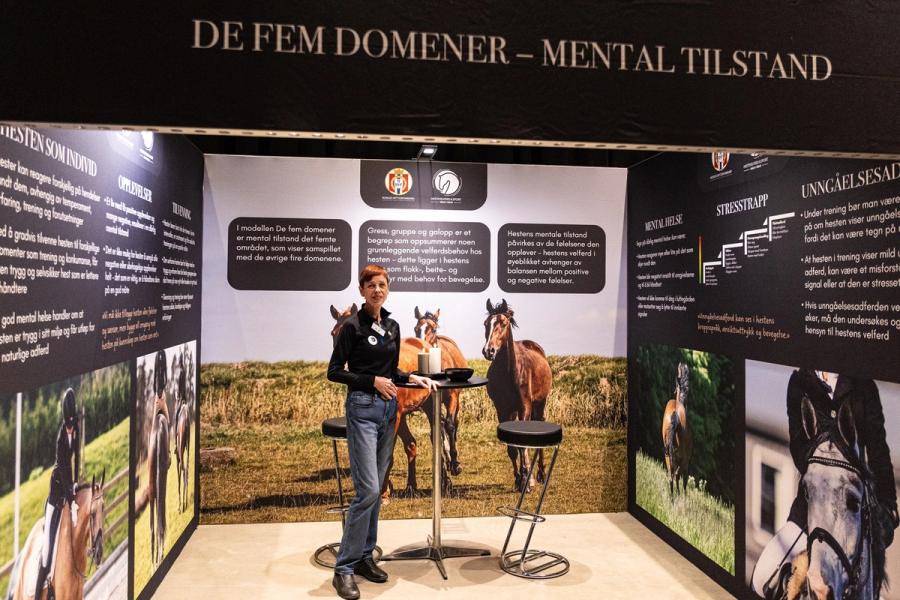 hest / dyrevelferd for alle / Norges Rytterforbund