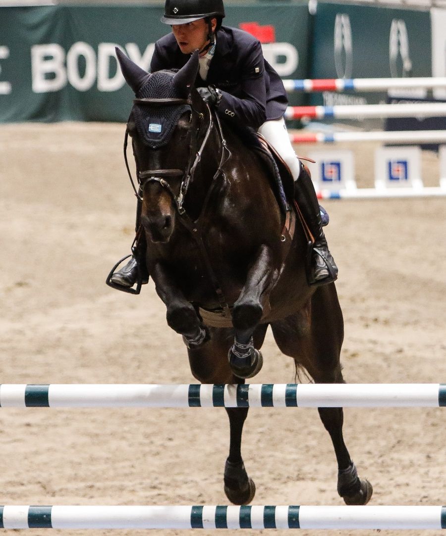 hest / Pål Flam / Norges Rytterforbund