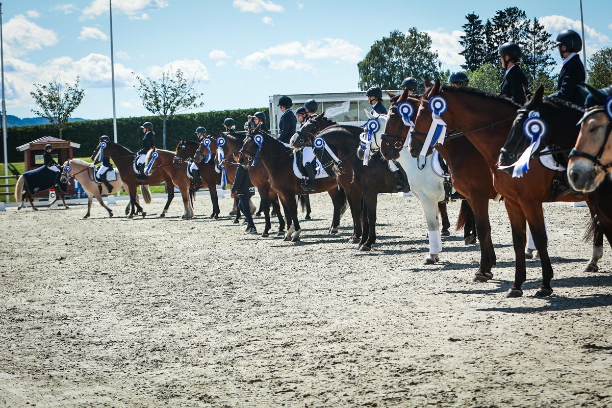 hest / Norges Rytterforbund / FERD Comeback Cup