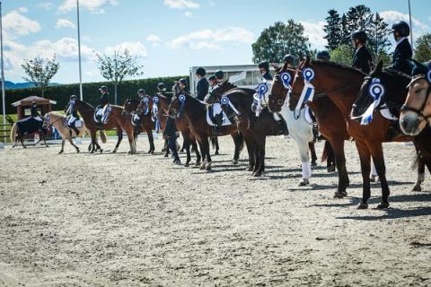 hest / Norges Rytterforbund / FERD Comeback Cup