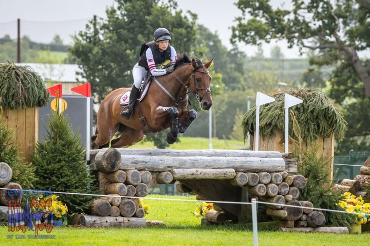 hest / Norges Rytterforbund / Yaz Olsson Payne